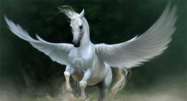 如来封八戒为菩萨,并赐予坐骑地位极高,为啥八戒却从没坐过坐骑_饕餮