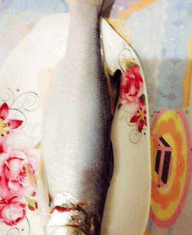 听说过马友鱼吗?多可爱的名字肉甜美很好吃,而且营养!