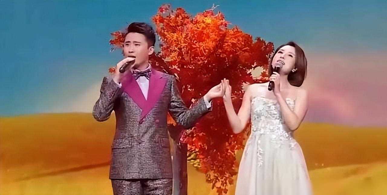 杨帆:抵达沈阳为主持分会场春晚做准备,老同事张蕾第一时间道贺_社会