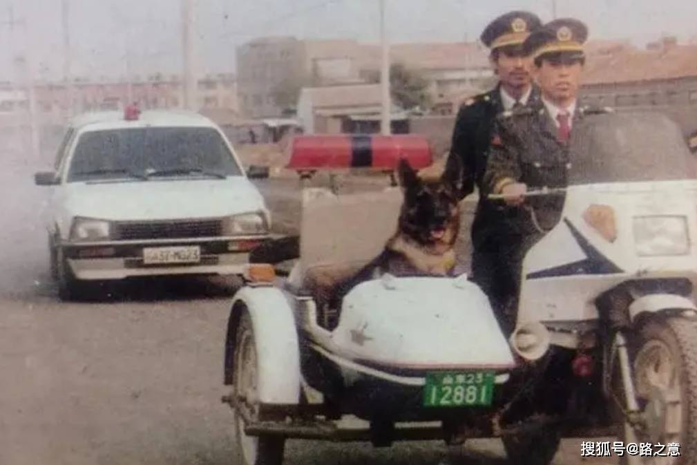 1990年沈阳市特大系列锥刺