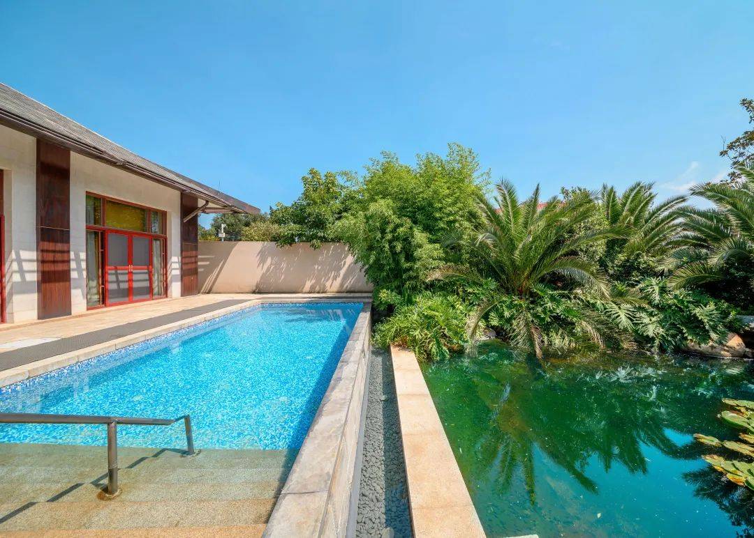 暖冬度假选春城,"鸥"遇昆明华邑