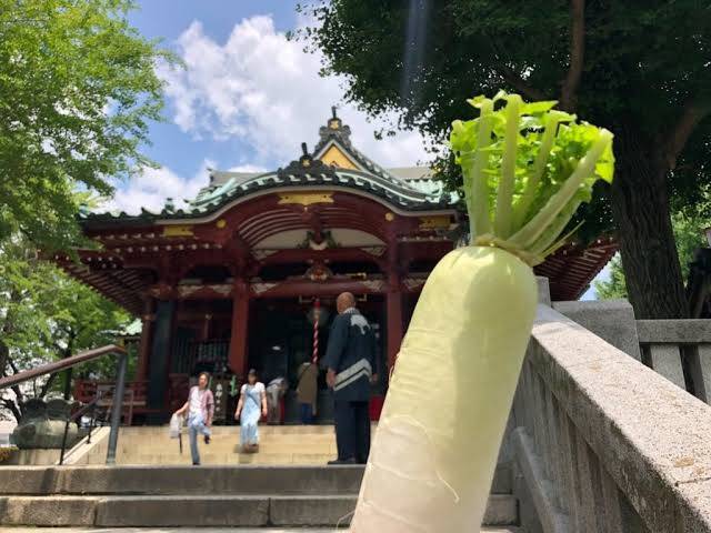 【日本文史漫笔】待乳山寺院供奉萝卜的真意_天皇_中国_浅草寺