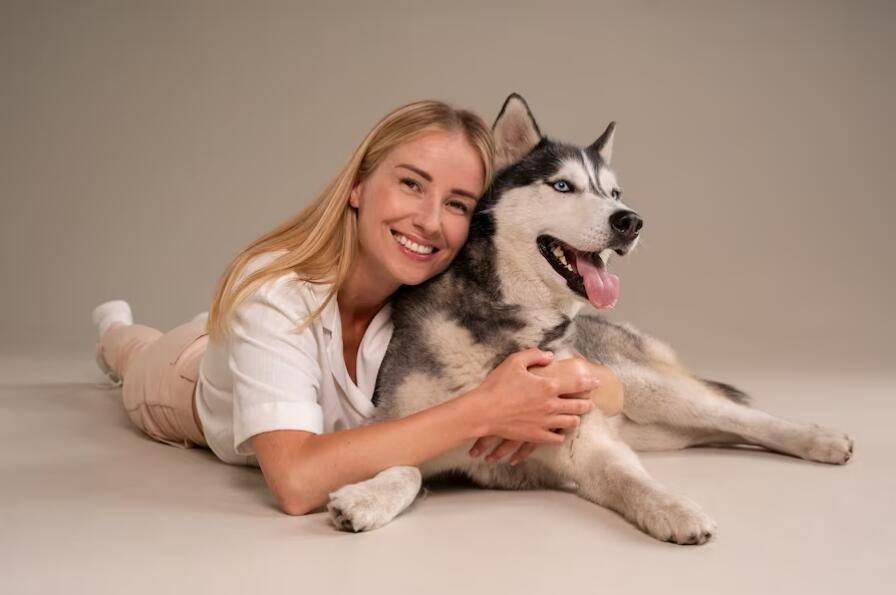 养哈士奇的好处以及弊端_挑战_主人_毛发