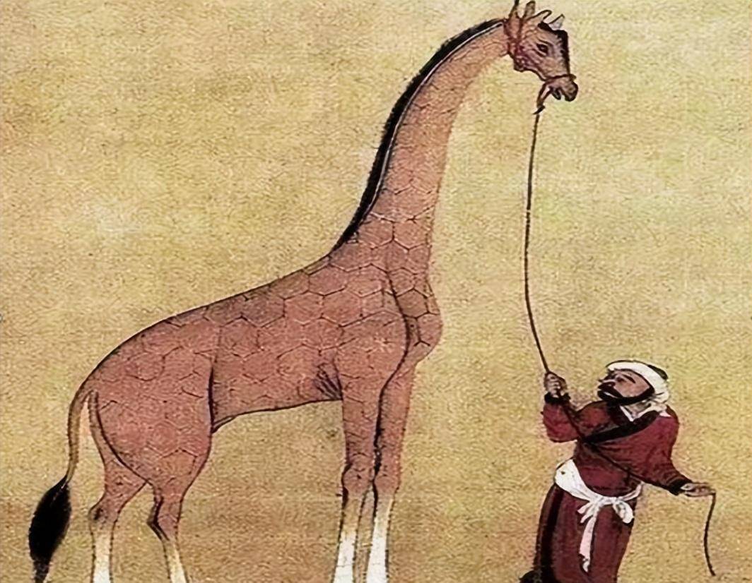 若是没有,那张麒麟照片又是怎么回事?_孔子_颜征_的传说