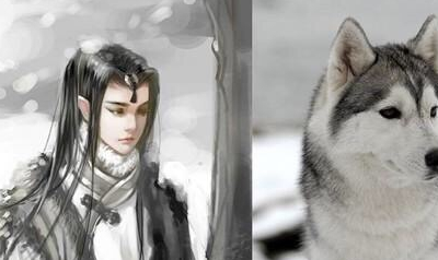 网友把哈士奇"拟人化"!淘气二哈画风一变,回眸倾国!