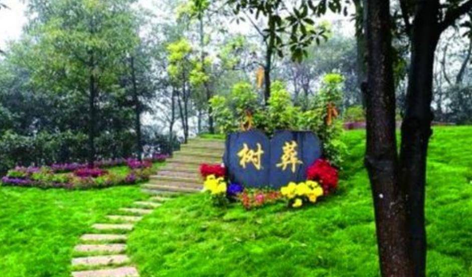 树葬正在迅速兴起,取代火葬只是时间问题?