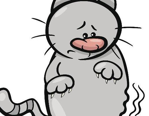 饿了就会手抖,心慌?别大意,莫忽视,可能是3种疾病上门