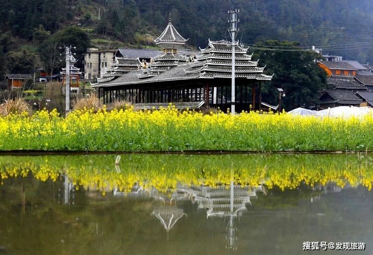 新年之际贵州黎平侗寨金色花海喜迎春_双江镇_从江县