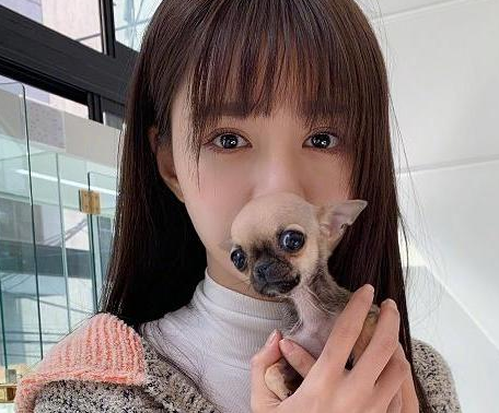 沈梦辰晒近照,吐舌卖萌气质佳,手里捧的小狗是亮点_狗狗_杜海涛_衣服