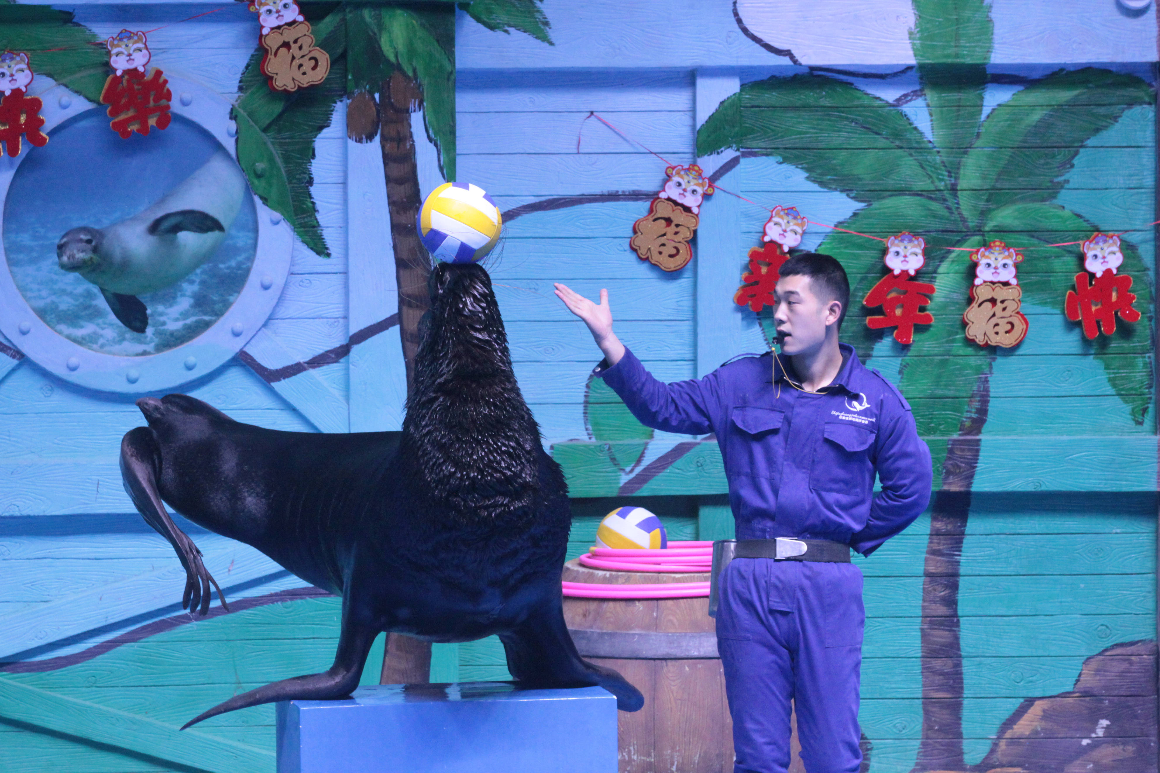 祖孙三代同游动物园欣赏海豚海狮美人鱼表演摄影纪实