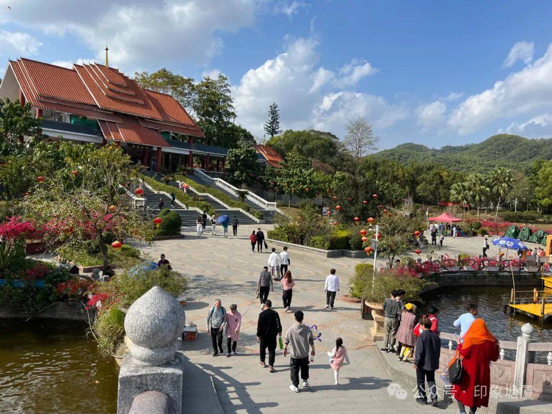 各大公园年味浓人气旺!市民在东莞塘厦开心过大年!