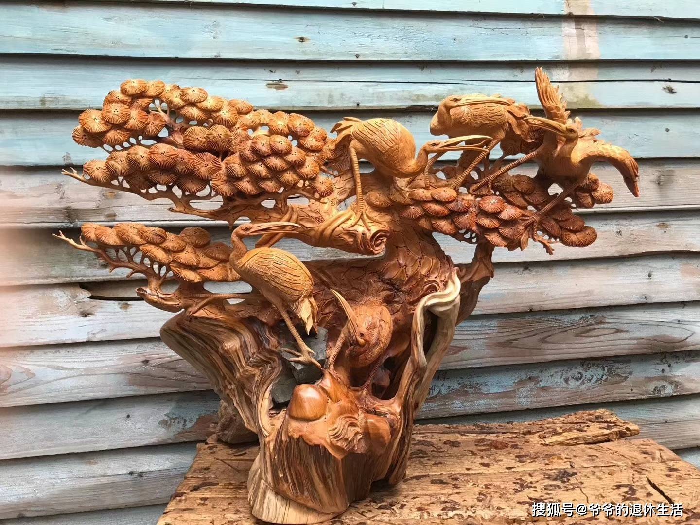 崖柏象形是对自然进行轻微改变,使其更完美.