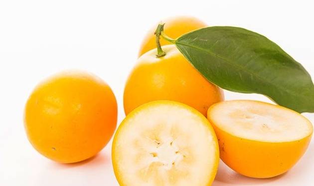 材料:500克金桔,250克冰糖,水50到60毫升.