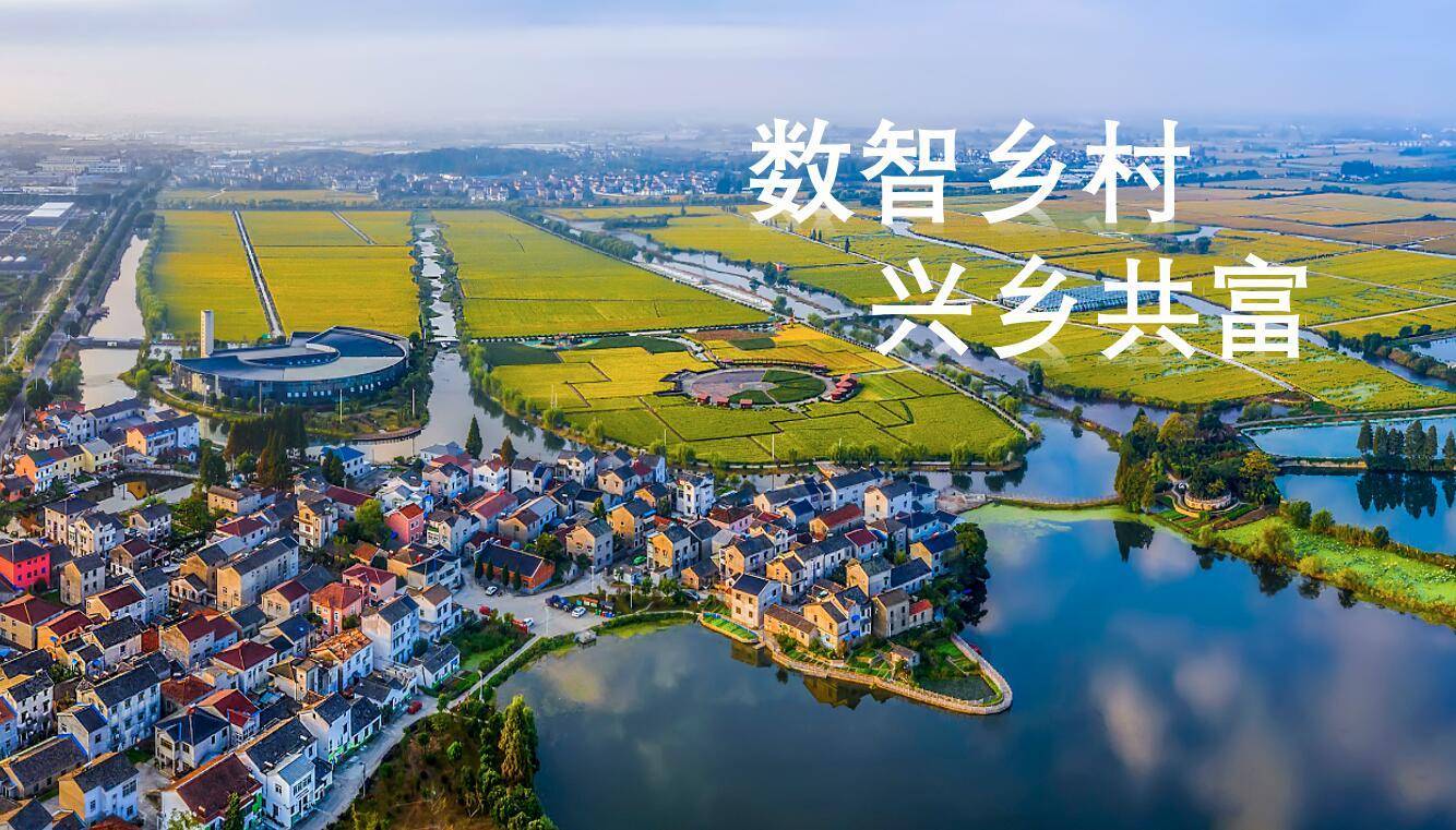 焦点|如何统筹新型城镇化和乡村全面振兴?_发展_农村_建设