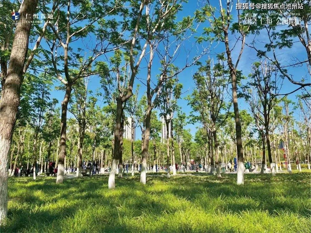 沈阳仁恒公园世纪售楼处电话→售楼中心首页网站