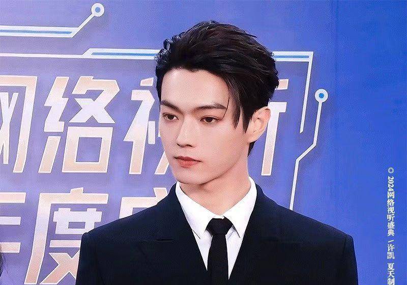 许凯的五官立体,浓眉大眼,那深邃的小眼神非常容易让人沉醉.