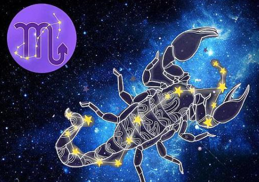 天蝎座,冷酷到底?网友:别惹我