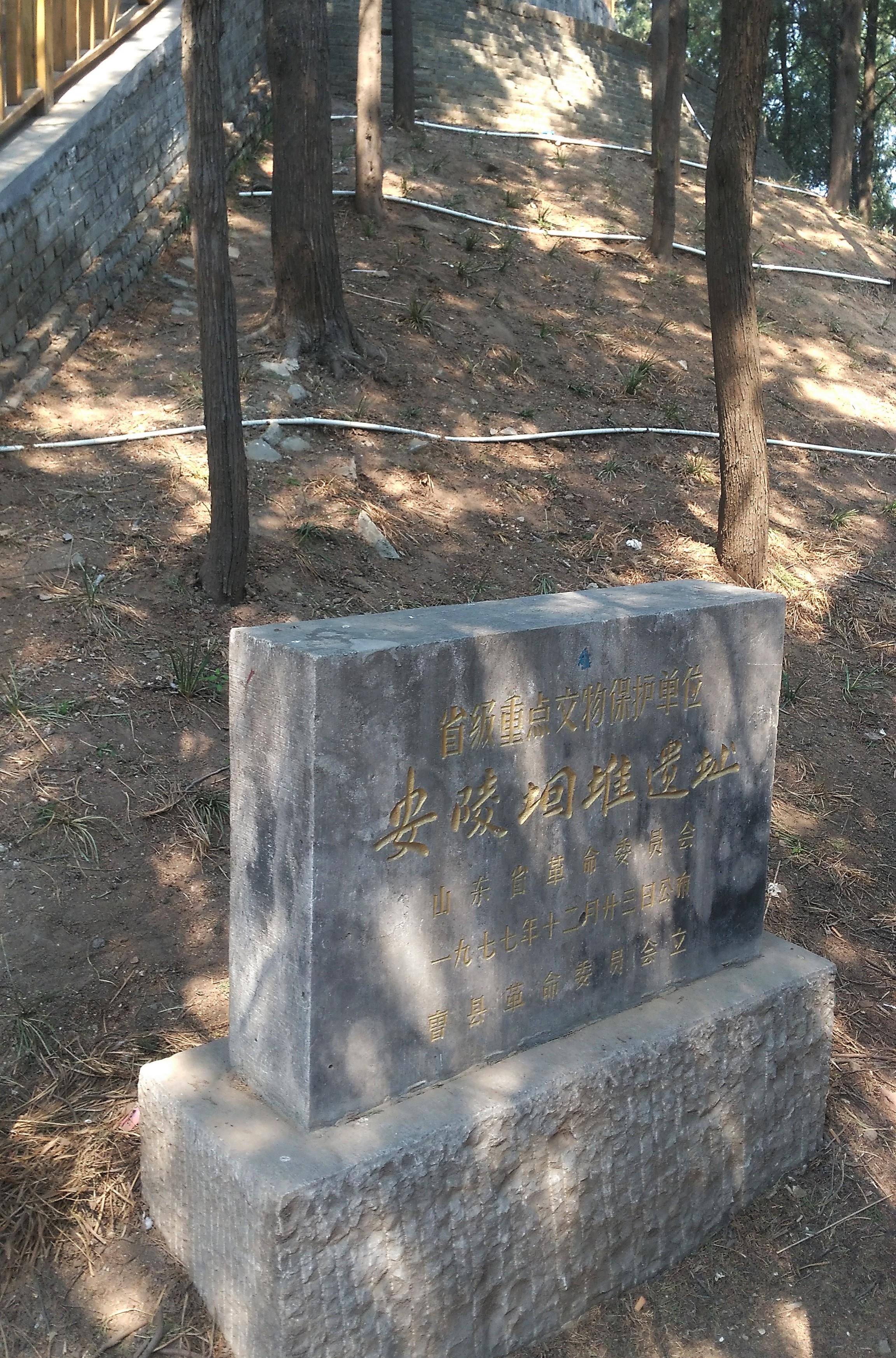 山东曹县安陵堌堆,中国历史上第一位皇太后弟弟的陵墓_魏冉_襄王_财富