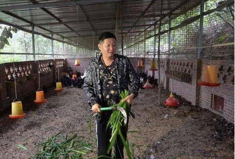 退出娱乐圈经商,他娶模特妻子深山养鸡,如今50岁身家