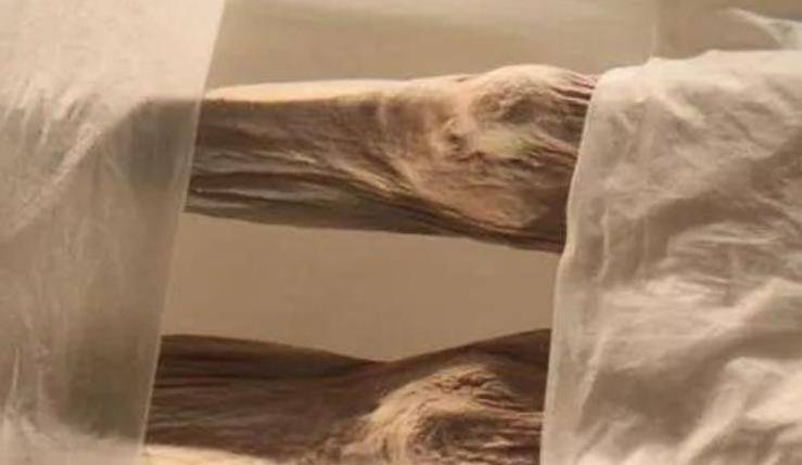 日本不惜花重金捐款,只为她一束头发,专家发现异常后果断拒绝_女尸