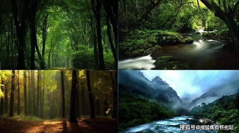 碧桂园润杨溪谷→售楼处电话→售楼中心首页网站