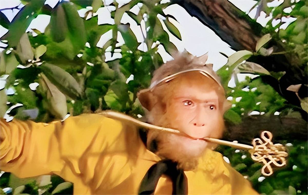 孙悟空_唐僧_猪八戒