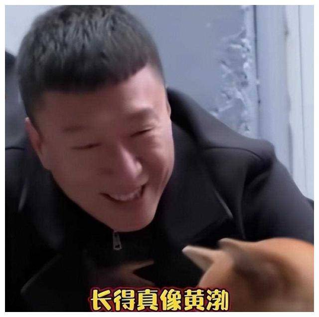 孙红雷与牛头梗惊人撞脸,李荣浩竟与狗神似!
