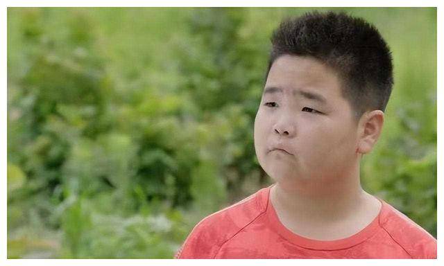 乡爱16:谢飞机新身份,王小蒙刘英大改造,兰妮的惊艳故事_角色_爱情