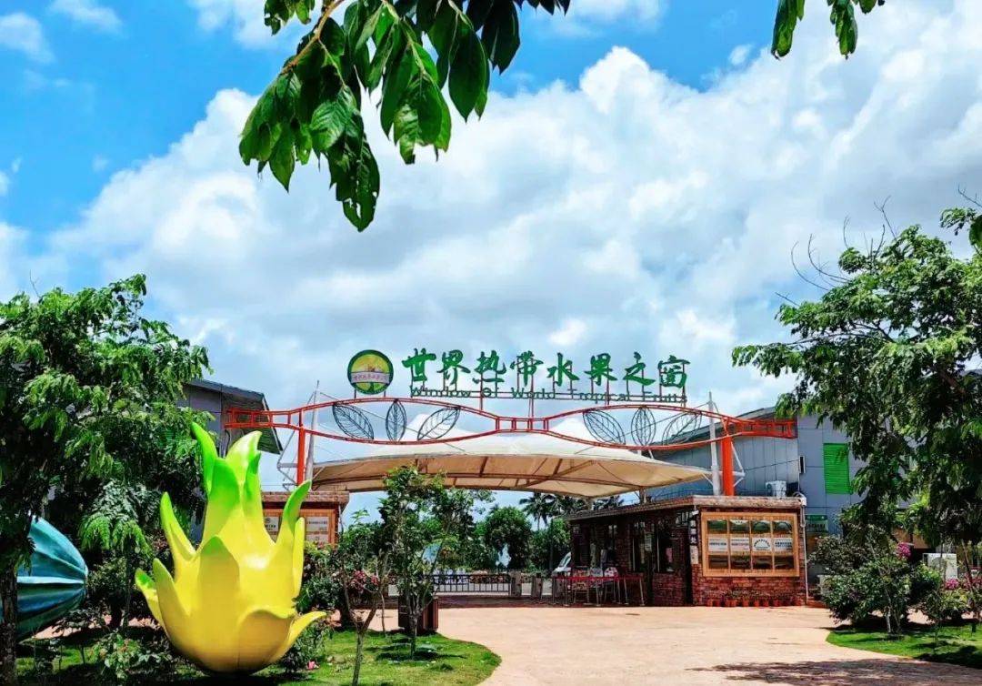 海南旅游攻略:一定要看这篇琼海保姆级旅游攻略|你会感谢我的,超全