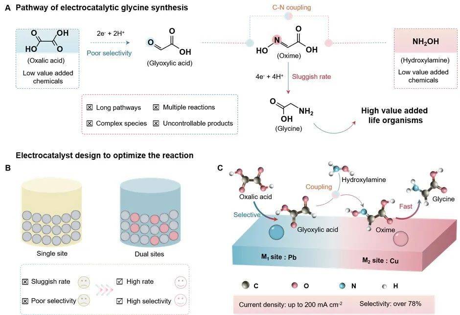 谢毅院士-孙永福团队突破:打通从co2 n2电合成氨基酸关键路径_生产_电