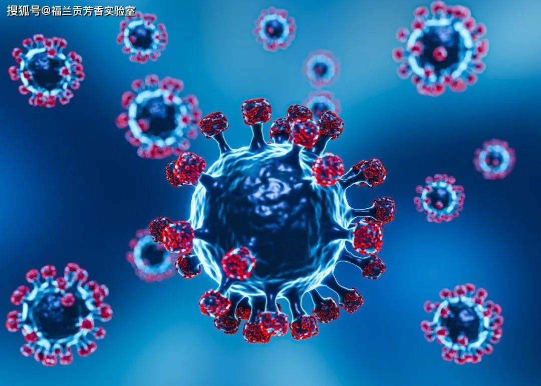 新冠后遗症和芳香疗法_福兰贡_研究_系统