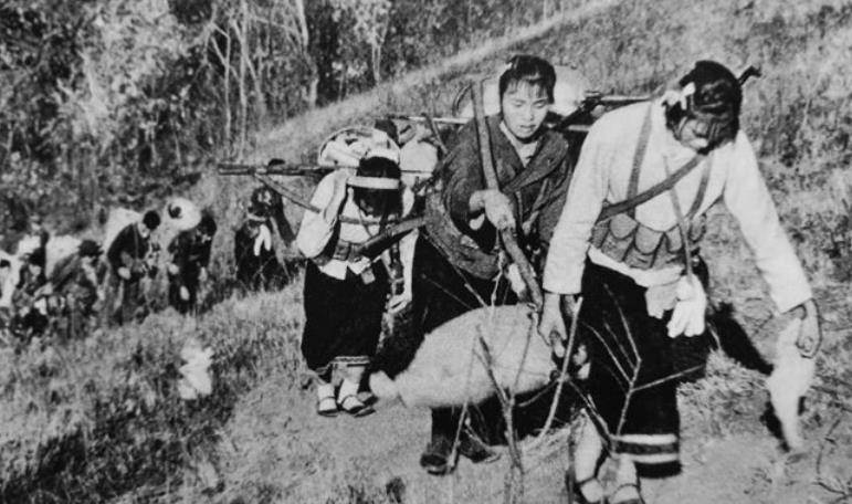 女民兵的腰带做担架?