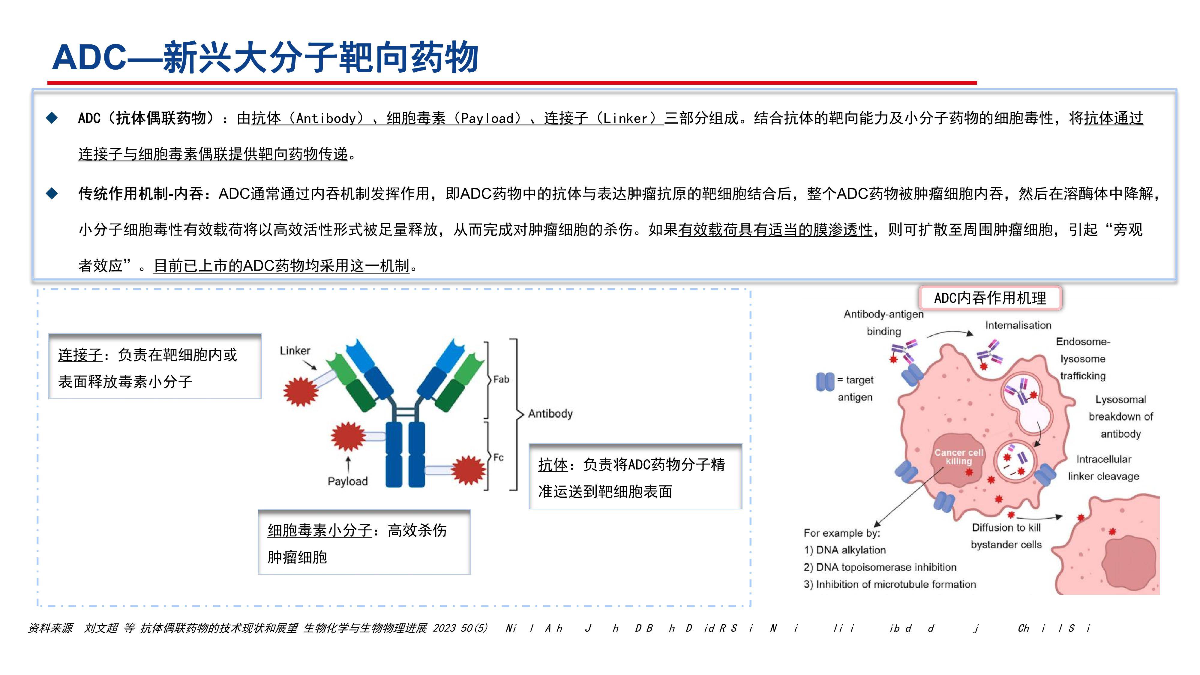 adc药物: 创新前行, 出海扬帆——附下载