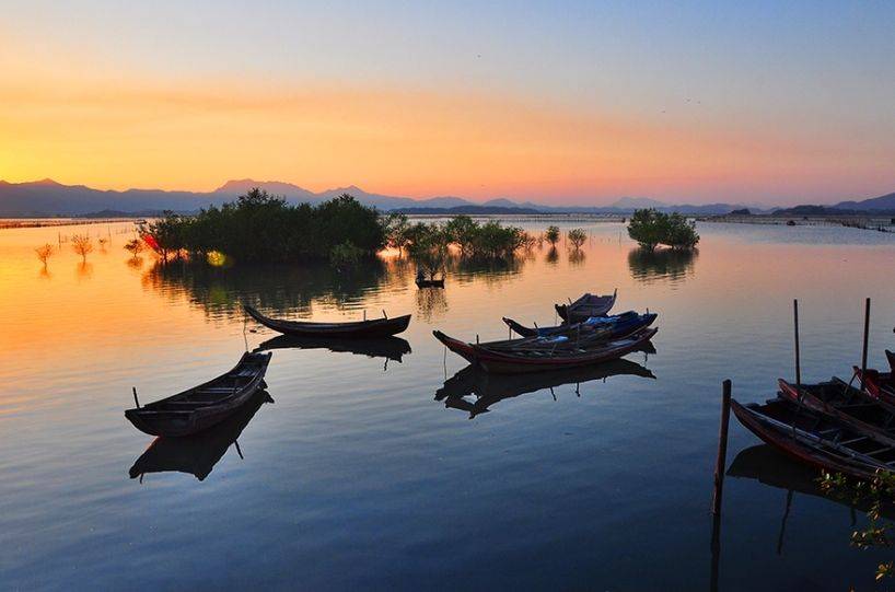 广州盐洲岛:隐藏在繁华都市中的自然秘境_海洋_原生态_历史