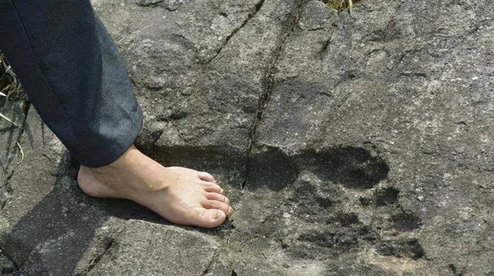 媳妇被野人当众掳走,三年后母子盛装归来,儿子说野人