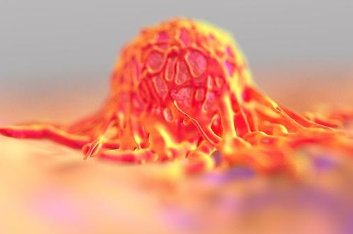 韭菜_食用_肠胃