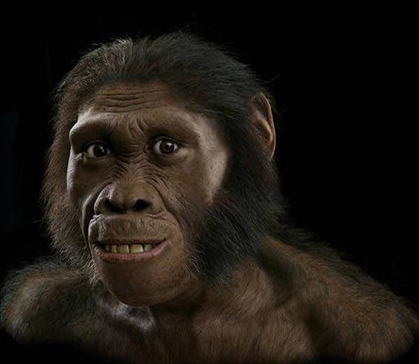 苏联科学家选5名女性实验,结果怎样?_人类_黑猩猩_进行