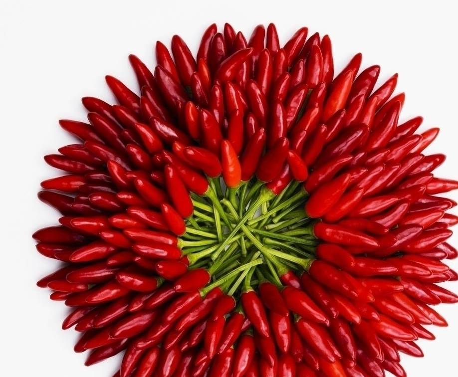 再和你说一说从辣度来讲,有一个英雄哥自己总结的辣味表:魔鬼辣椒>