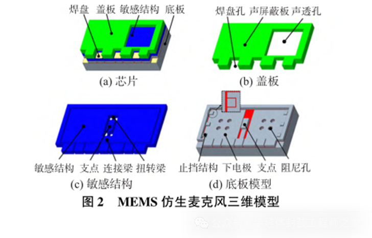 根据奥米亚棕蝇听觉器官的摇摆振动模态时的差分放大原理和前期声源