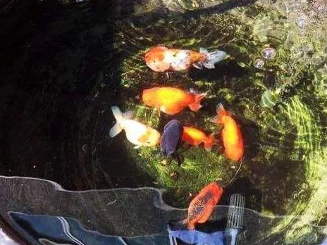 温度_生活_疾病