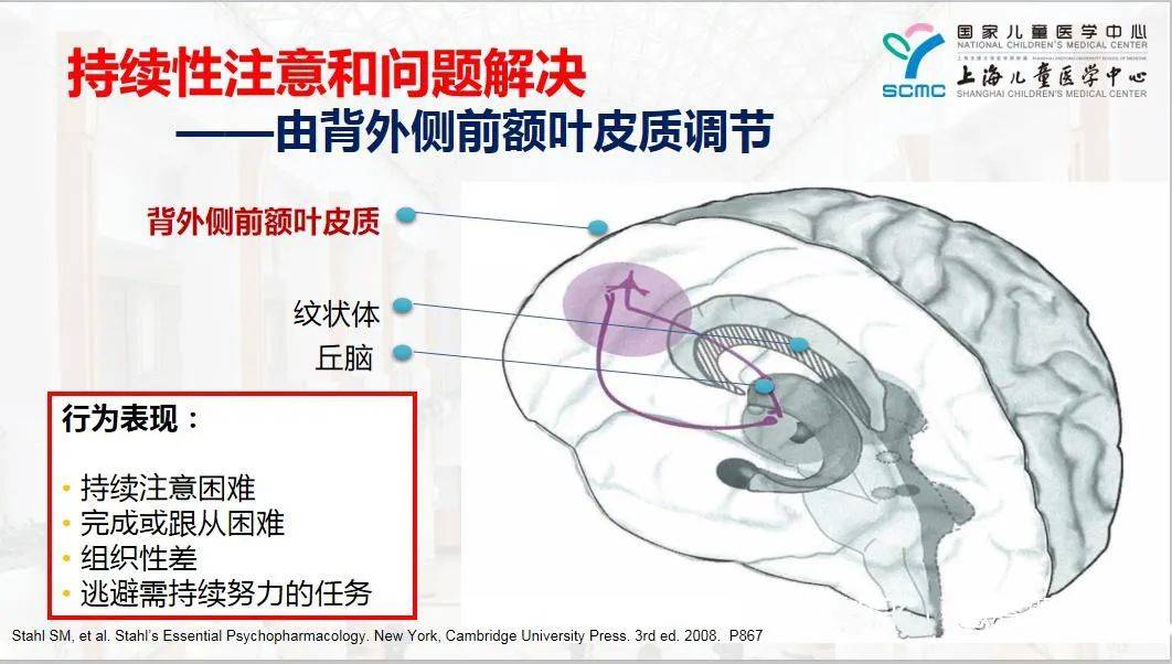 前扣带回认知功能区无明显激活同样一个任务,别人紧张的做作业,完成