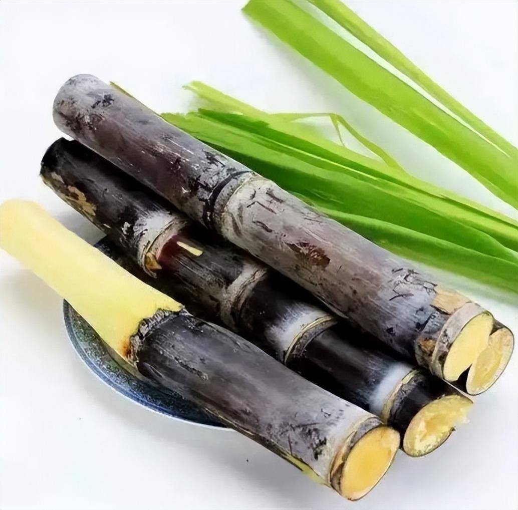 中医认为,甘蔗性平,甘寒,入肺,脾,胃经,具有清热解毒,生津止渴,下气