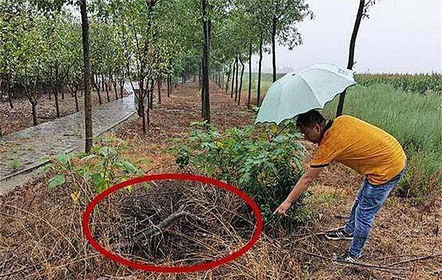 03年山西女教师失踪,寝室床上疑似尿液,5个月后尸体