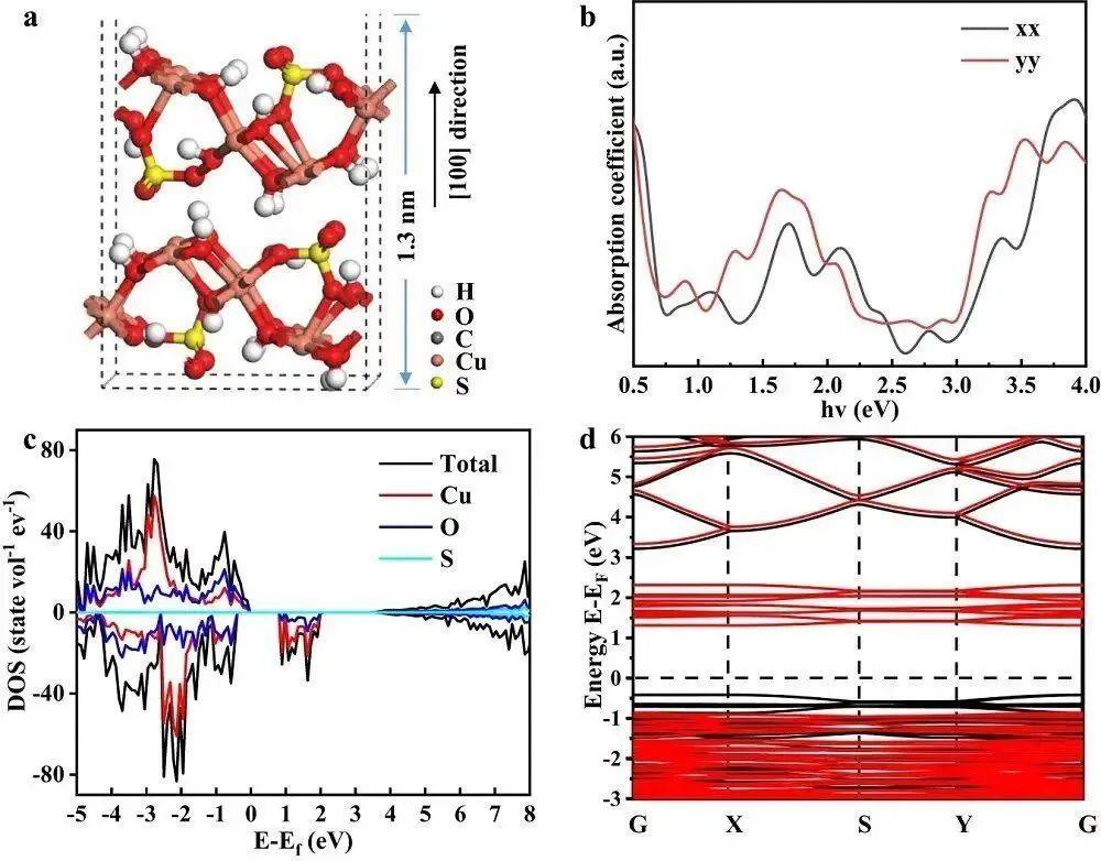冯新亮院士,最新nature子刊_反应_红外_电子