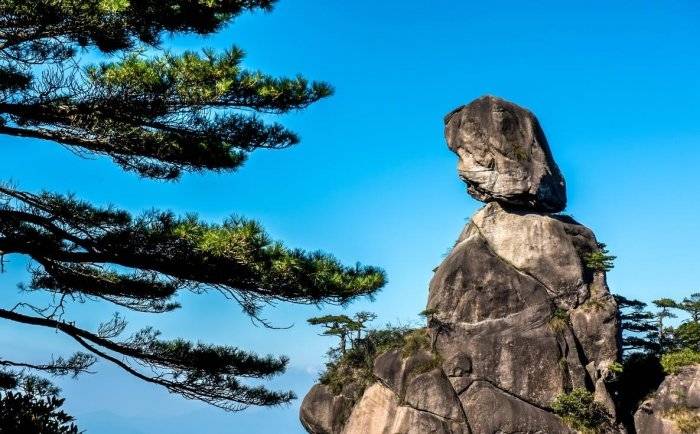 井冈山旅游攻略自由行攻略一天,井冈山旅游攻略一日游最佳路线_全程