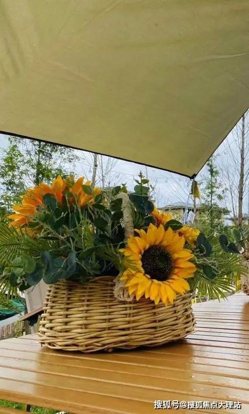 的全新生活方式,朗基·紫境府将于9月3日——9日举办首届环滇露营节