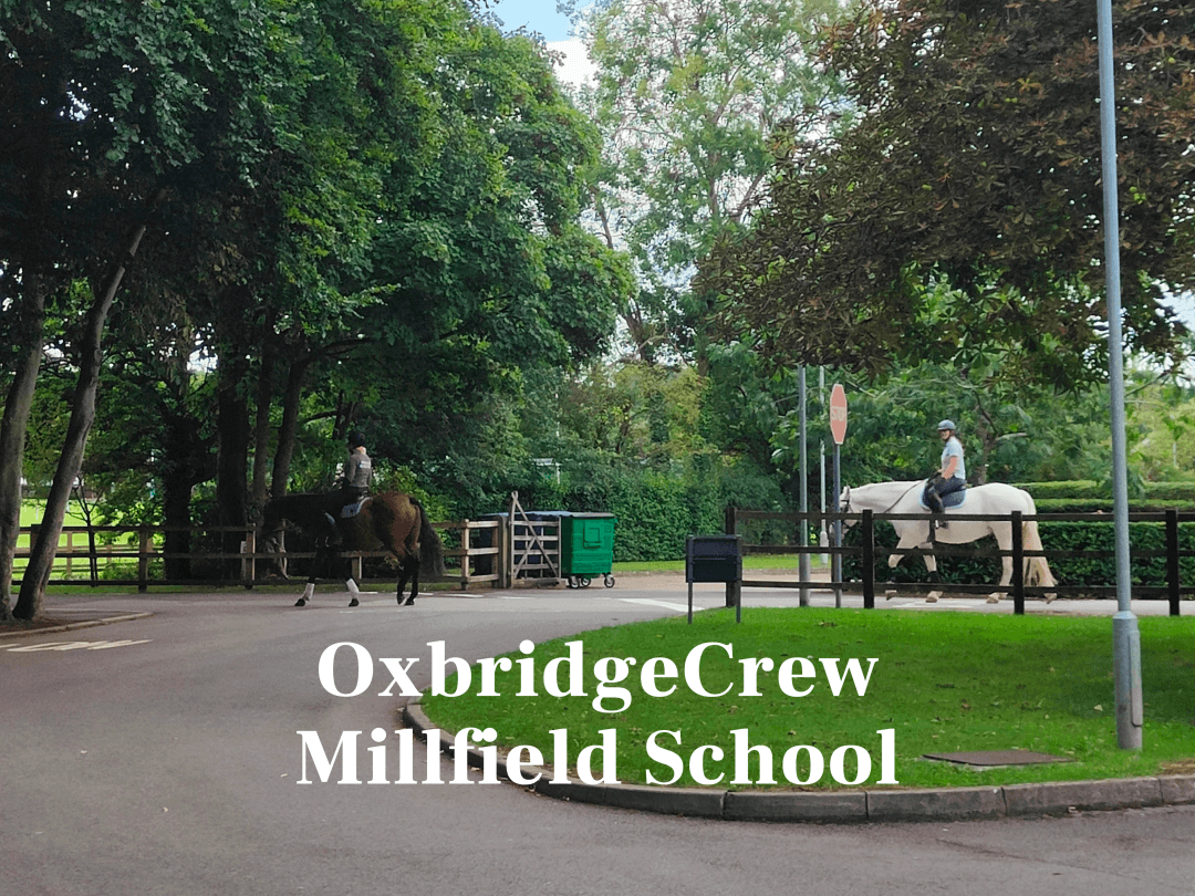 入学难度给到3分的原因是,这所学校对于学生的要求并不是很高,相对于