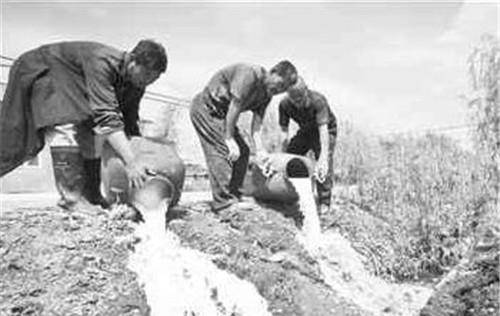 农场主_经济危机_价格