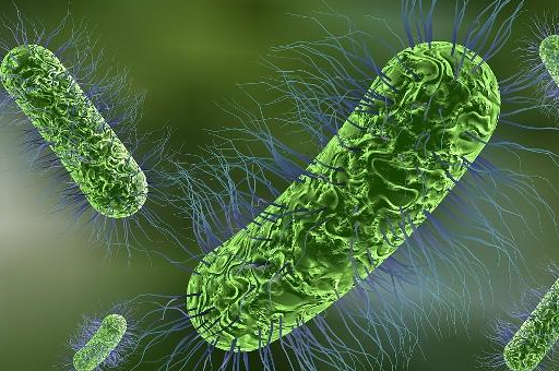 口臭,口腔溃疡"隐形杀手",让口腔清洁健康起来_细菌_食物残渣_扁桃体