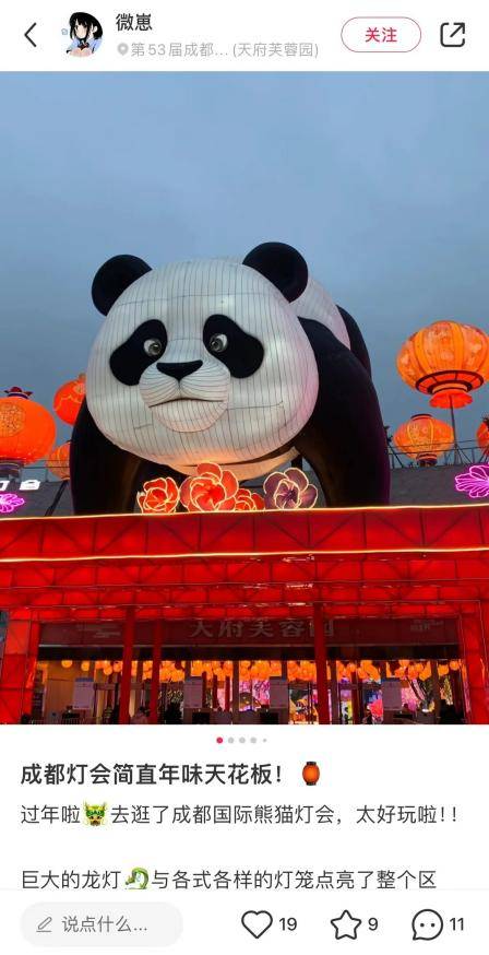 2022成都国际熊猫灯会图片